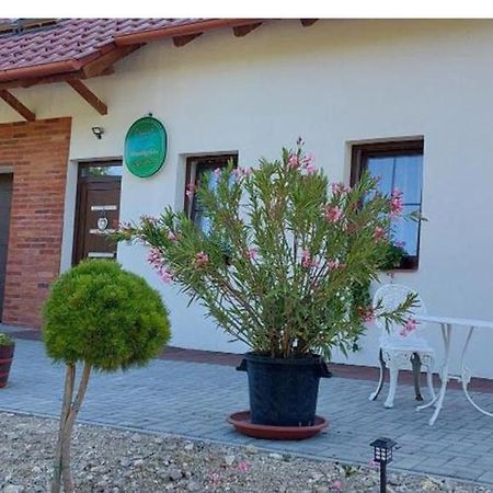 Patak Vendégház Zalaegerszeg Exterior foto